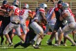 Thumbs/tn_IMG_6126.jpg