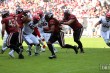 Thumbs/tn_IMG_7321.jpg