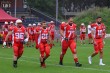 Thumbs/tn_IMG_8661.jpg