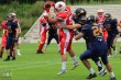 Thumbs/tn_IMG_8748.jpg