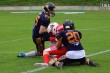 Thumbs/tn_IMG_8758.jpg
