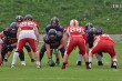 Thumbs/tn_IMG_8821.jpg