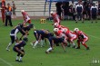 Thumbs/tn_IMG_8829.jpg