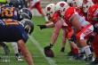 Thumbs/tn_IMG_8857.jpg