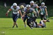 Thumbs/tn_IMG_9337.jpg