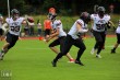 Thumbs/tn_IMG_9870.jpg
