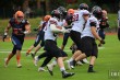 Thumbs/tn_IMG_9873.jpg
