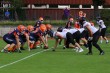 Thumbs/tn_JMG_0049.jpg