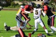 Thumbs/tn_IMG_1954.jpg