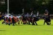 Thumbs/tn_IMG_2972.jpg