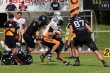 Thumbs/tn_IMG_3065.jpg