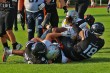 Thumbs/tn_IMG_3833.jpg