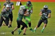 Thumbs/tn_IMG_6506.jpg