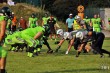 Thumbs/tn_IMG_6644.jpg
