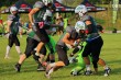 Thumbs/tn_IMG_6737.jpg