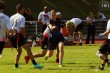 Thumbs/tn_IMG_6910.jpg