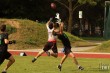 Thumbs/tn_IMG_7113.jpg