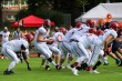 Thumbs/tn_IMG_0442.jpg
