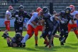 Thumbs/tn_IMG_6195.jpg