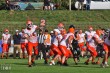 Thumbs/tn_IMG_6299.jpg