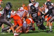Thumbs/tn_IMG_6322.jpg