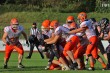 Thumbs/tn_IMG_6341.jpg