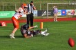 Thumbs/tn_IMG_6392.jpg