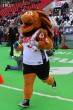 Thumbs/tn_IMG_6967.jpg