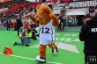 Thumbs/tn_IMG_6974.jpg