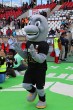Thumbs/tn_IMG_6994.jpg