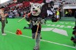 Thumbs/tn_IMG_7026.jpg