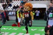 Thumbs/tn_IMG_7029.jpg