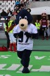 Thumbs/tn_IMG_7034.jpg