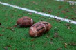 Thumbs/tn_IMG_1284.jpg