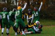 Thumbs/tn_IMG_1863.jpg