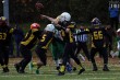 Thumbs/tn_IMG_1947.jpg