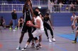Thumbs/tn_IMG_0982.jpg