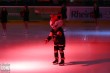 Thumbs/tn_IMG_3567.jpg