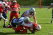 Thumbs/tn_IMG_2503.jpg