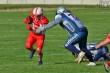 Thumbs/tn_IMG_2630.jpg