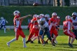 Thumbs/tn_IMG_2739.jpg