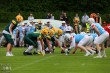 Thumbs/tn_IMG_3410.jpg