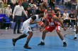 Thumbs/tn_IMG_4243.jpg
