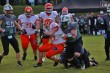 Thumbs/tn_IMG_5231.jpg