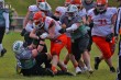 Thumbs/tn_IMG_5529.jpg