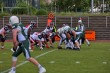Thumbs/tn_IMG_0043.jpg