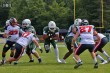 Thumbs/tn_IMG_0089.jpg