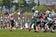 Thumbs/tn_IMG_0158.jpg