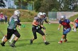 Thumbs/tn_IMG_3349.jpg