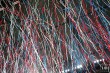 Thumbs/tn_190126_IMG_8340.jpg